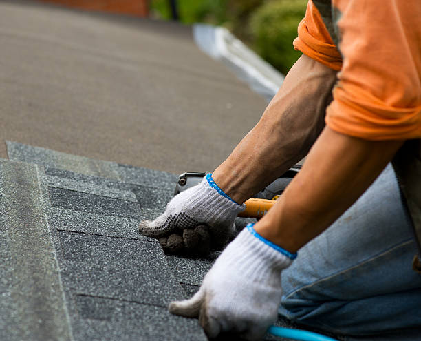 Best Roof Gutter Cleaning  in Sardis, MS